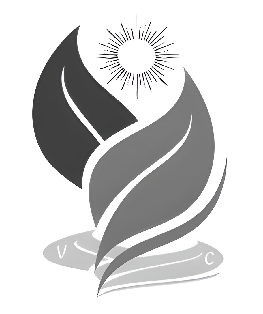 Logo Centro Vida y Conocimiento - Coaching Espiritual y Mental